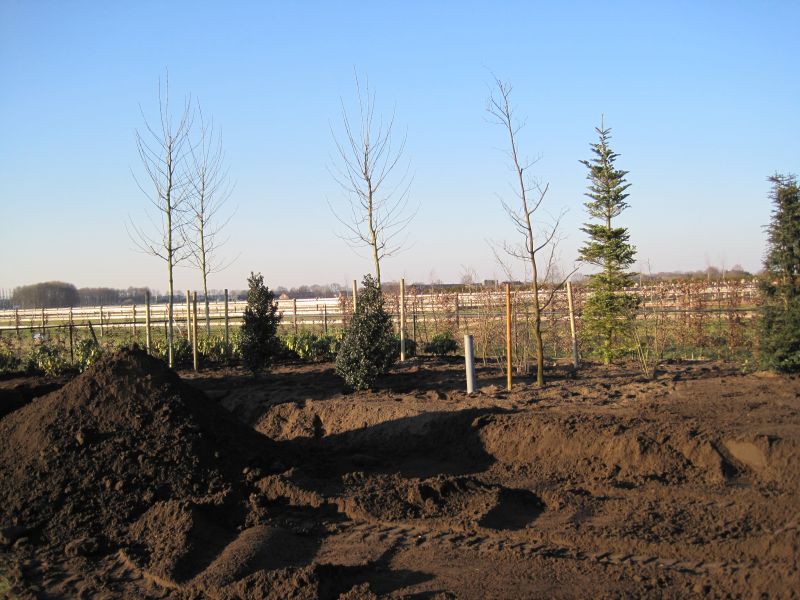 foto20081027_154.jpg